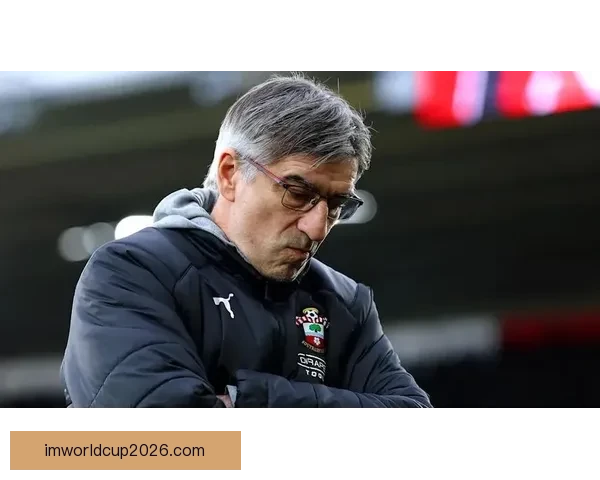 南安普顿主帅：下半场换人调整带来胜利 我们配得上这场胜利